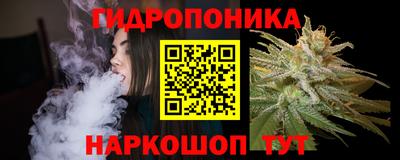 индика Мариинск