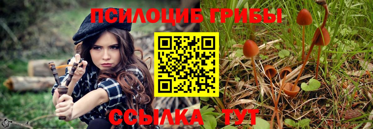 Псилоцибиновые грибы Psilocybine cubensis  Вход с VPN  Славгород  Галлюциногенные грибы прущие грибы 